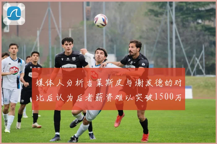 媒体人分析吉莱斯皮与谢泼德的对比后认为后者薪资难以突破1500万